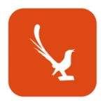 Logo of Suara Burung Kicau android Application 